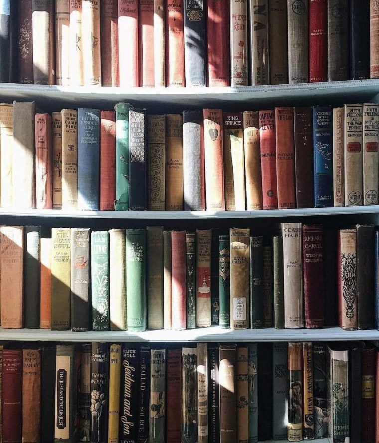 Aesthetic книжные полки