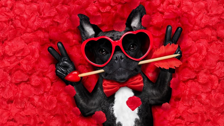 Прикольные обои