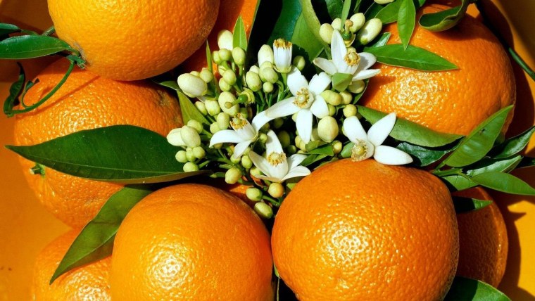 Померанец цвета оранж