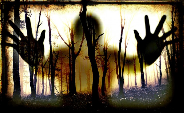 Силуэт за стеклом