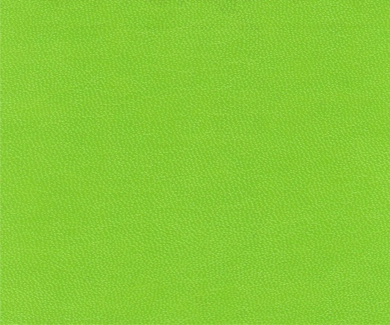 Зеленый цвет однотонный
