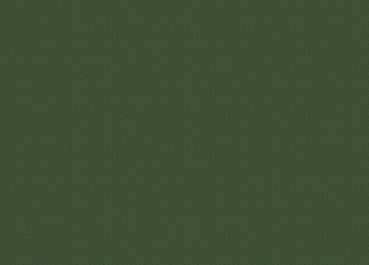 Цвет хаки 806b2a