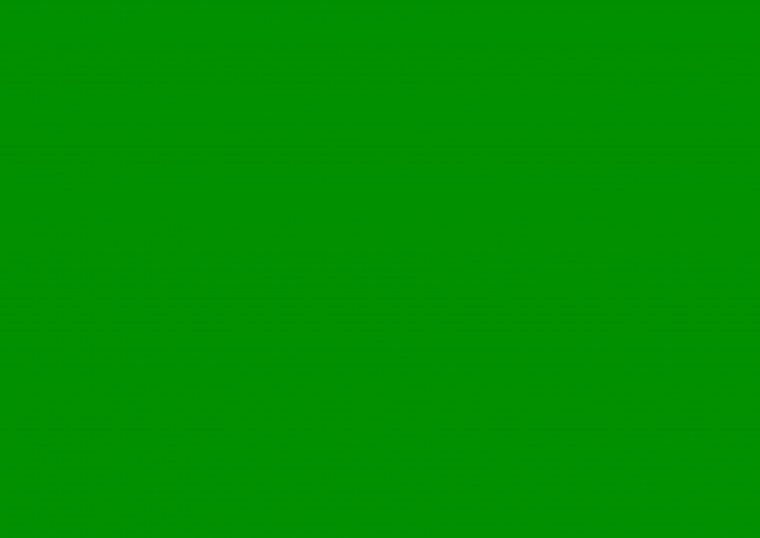 Зеленый цвет однотонный