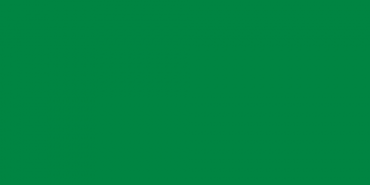 Насыщенный зеленый цвет