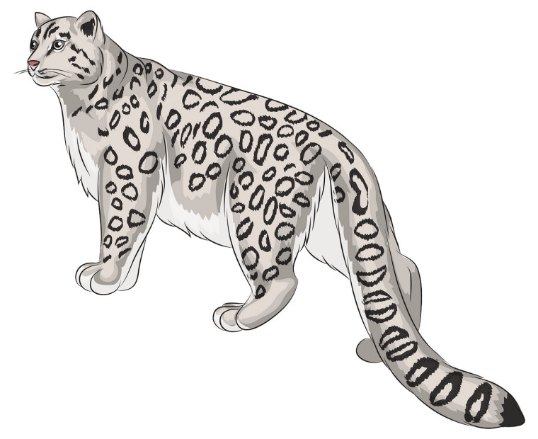 Снежный Барс мультяшный