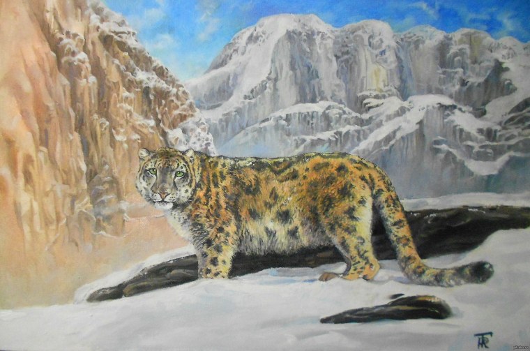 Снежный Барс на белом фоне