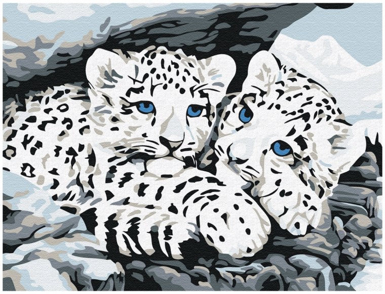 Ирбис на белом фоне