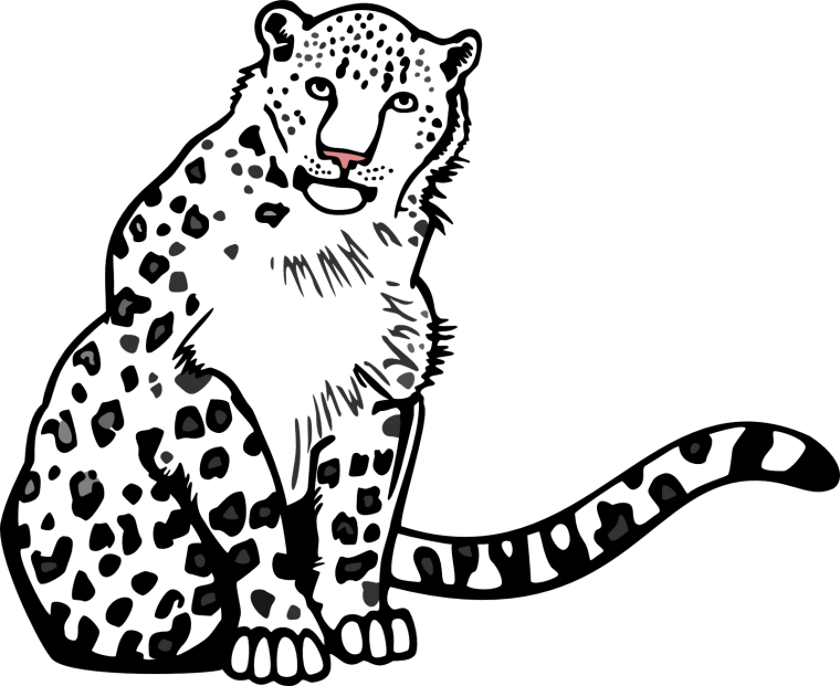 Снежный Барс Ирбис