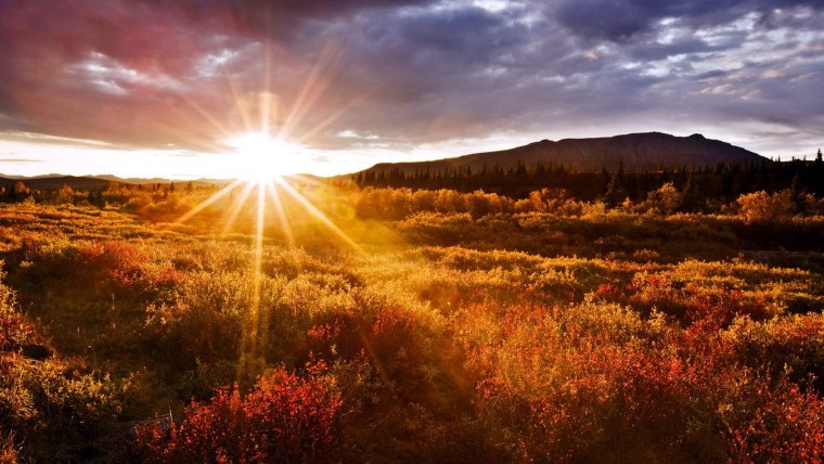 Солнце рассвет