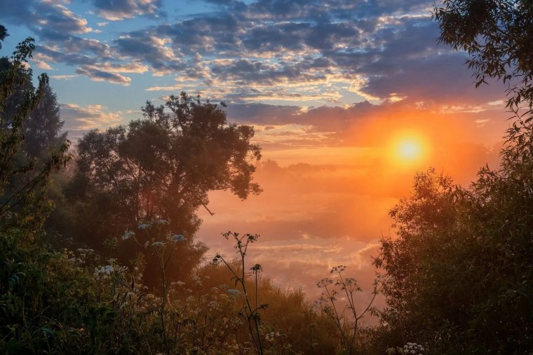 Солнце рассвет