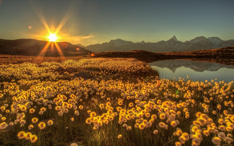 Природа рассвет