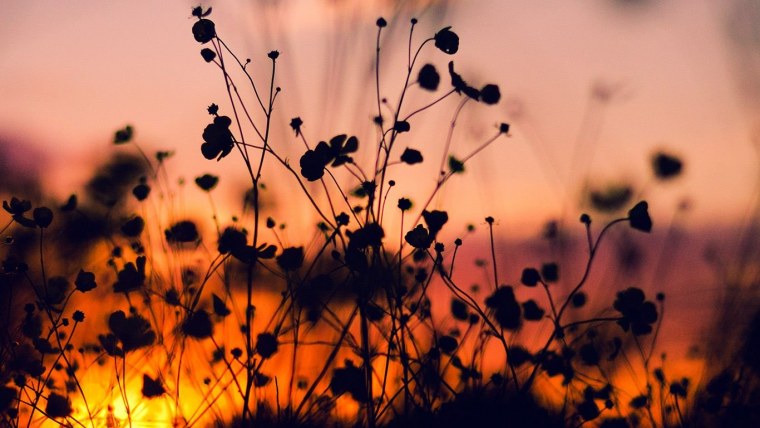 Красивые обои на ноутбук Эстетика