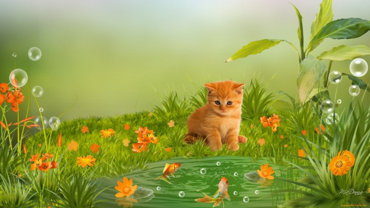 Котенок на полянке