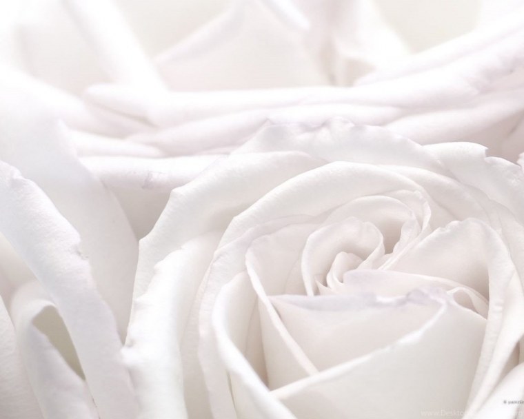 Белый кирпич