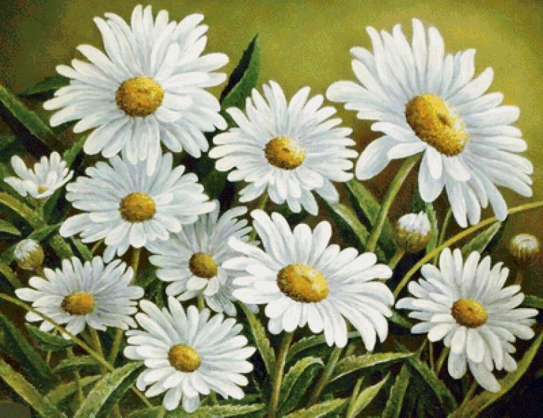 Ромашки для вырезания цветные