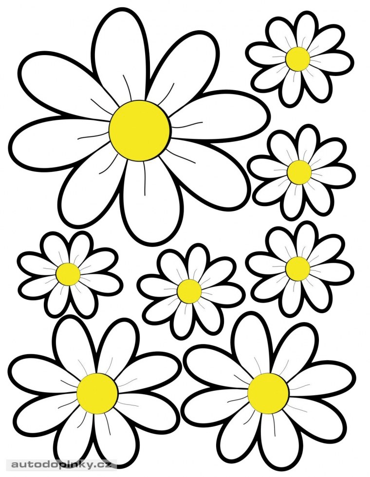 Ромашки для детей разноцветные