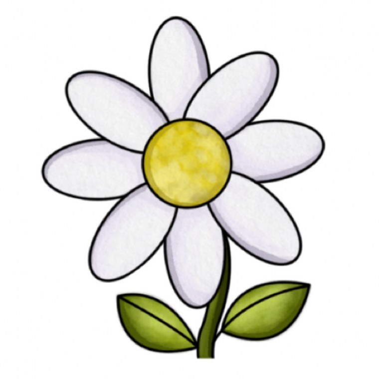 Ромашки абстракция