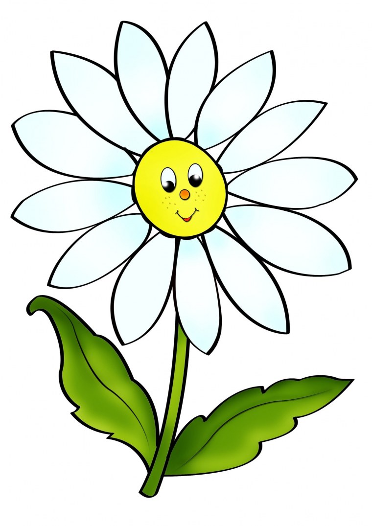 Картина ромашки