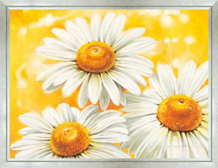 Ромашки мультяшные