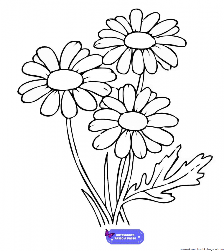 Наклейка ромашки