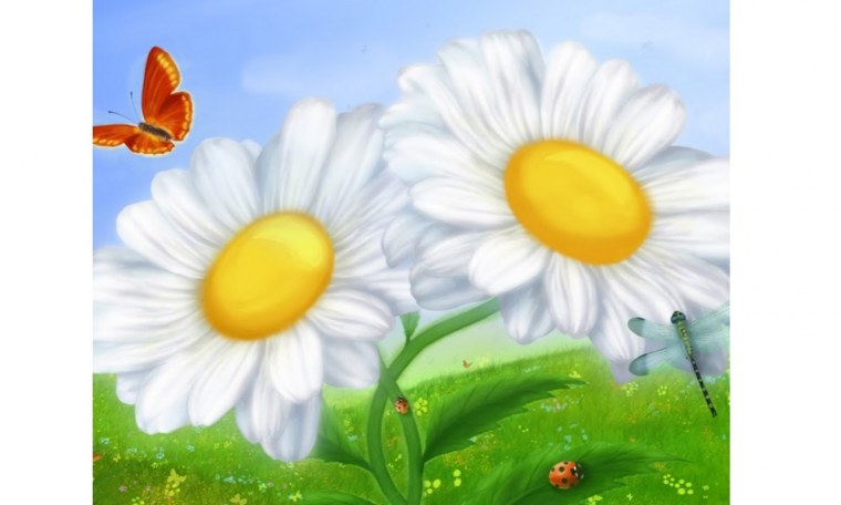 Ромашка рисунок