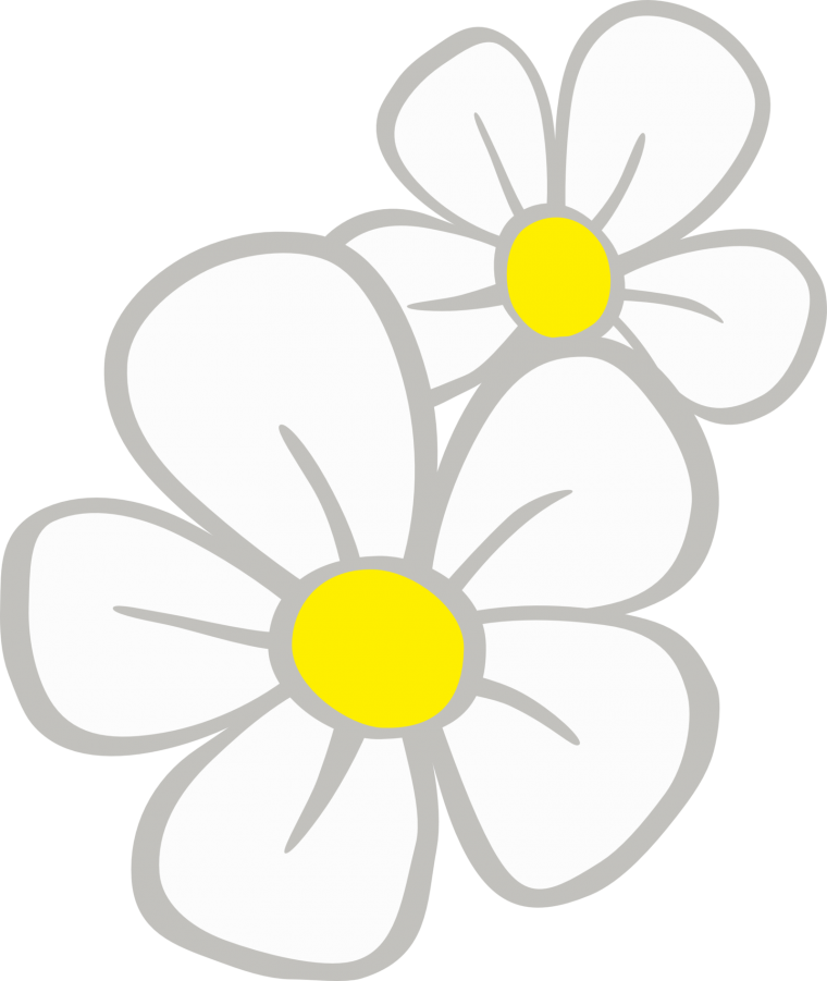 Трафарет ромашки