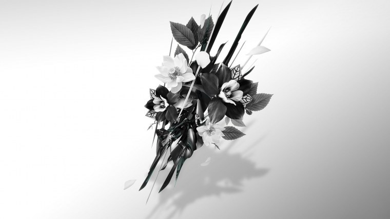 Цветы Минимализм