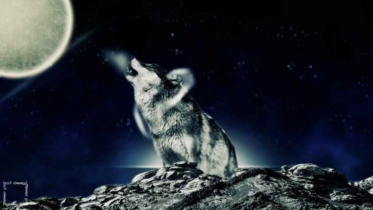 Волк на фоне Луны