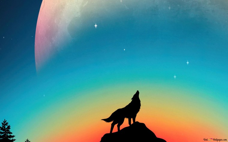 Волк воет на луну
