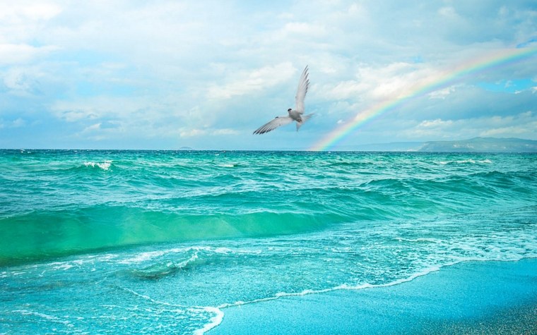 Удивительная красота моря