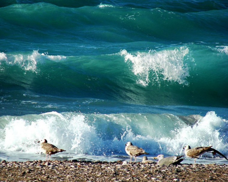 Волны на берегу