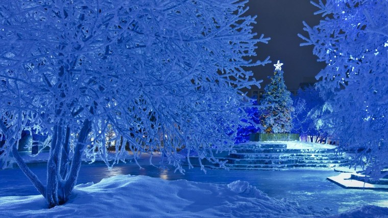 Новогодняя зима