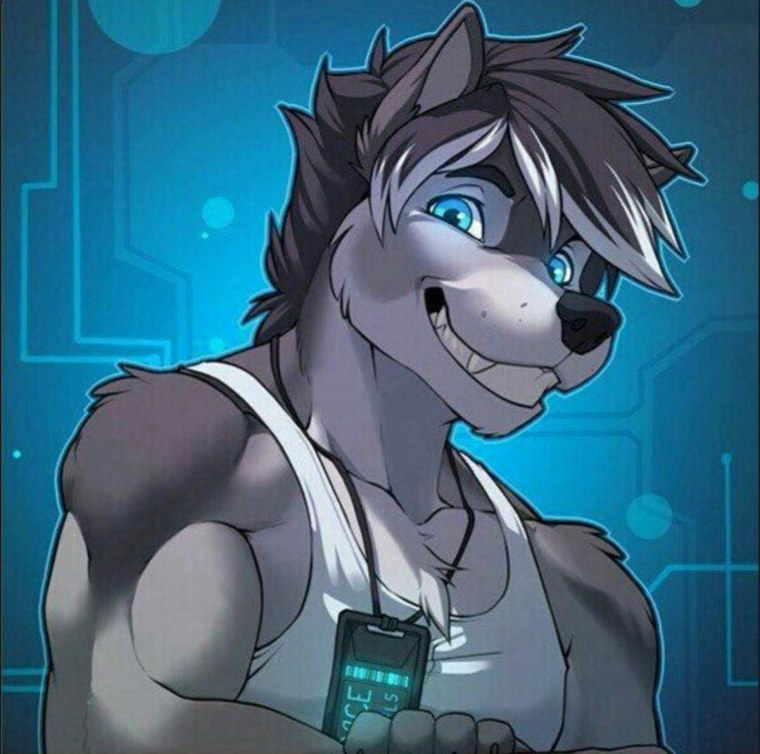 Волк геймер