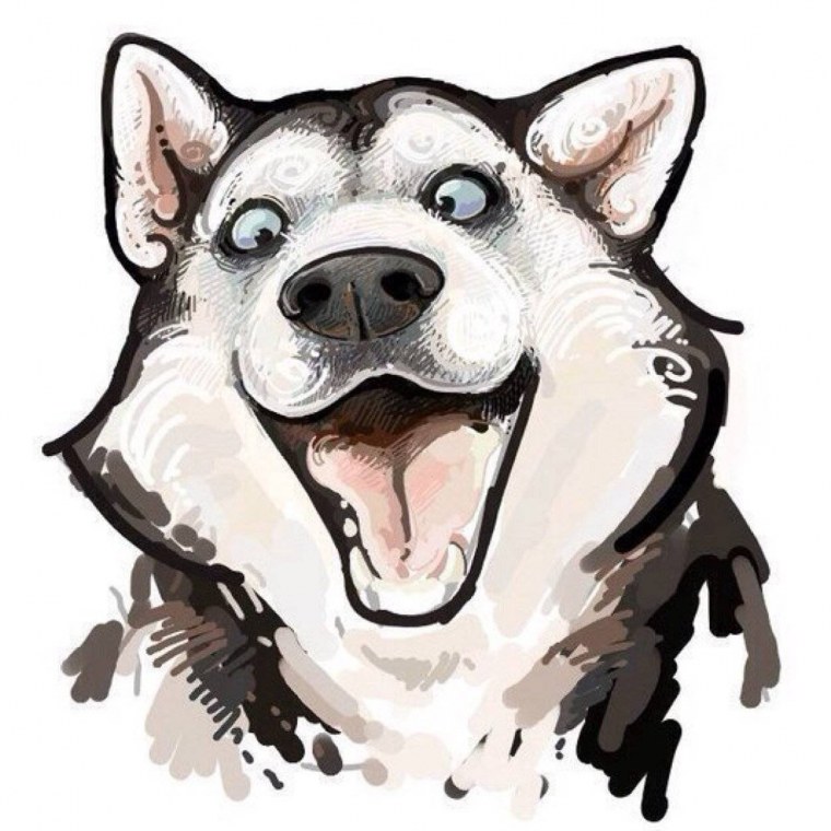 Аниме животные