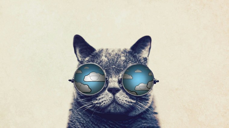 Крутые котики