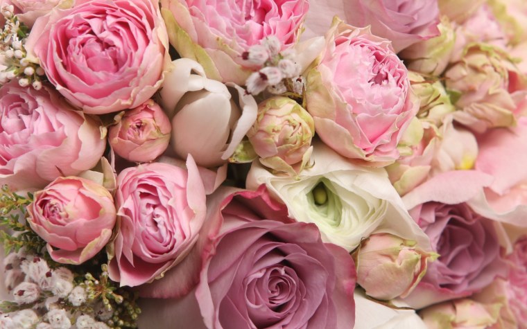 Пионовидная роза