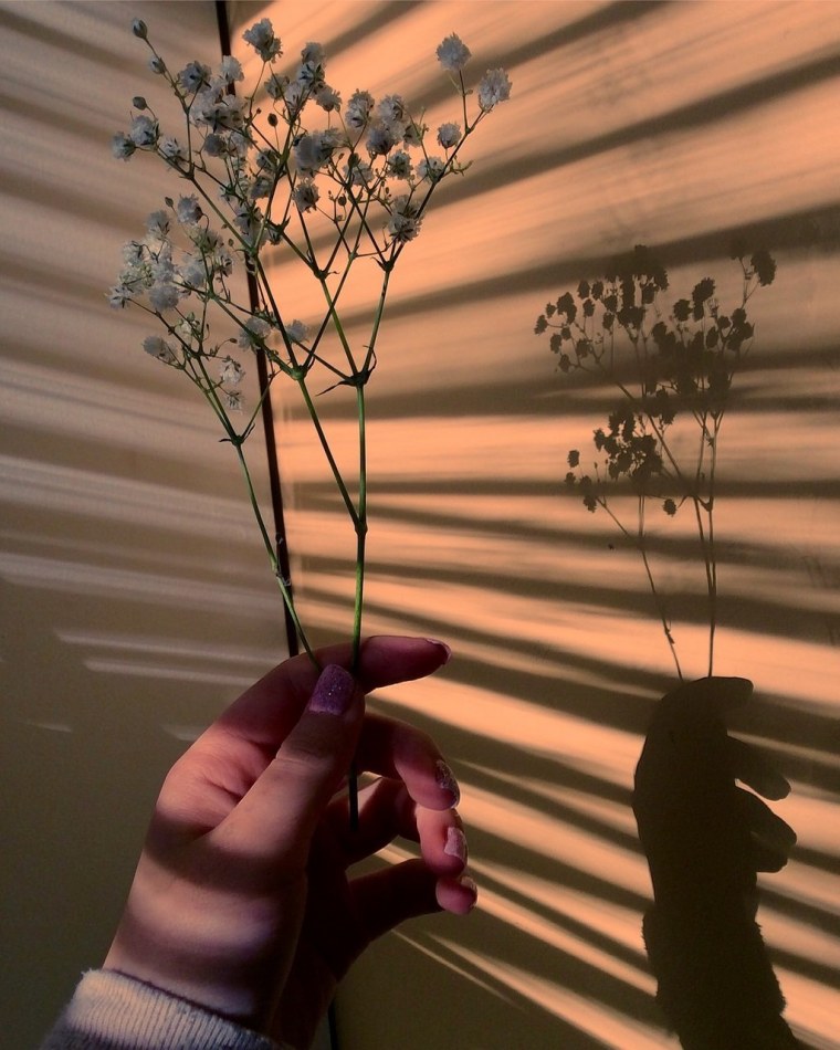 Эстетика в одном стиле