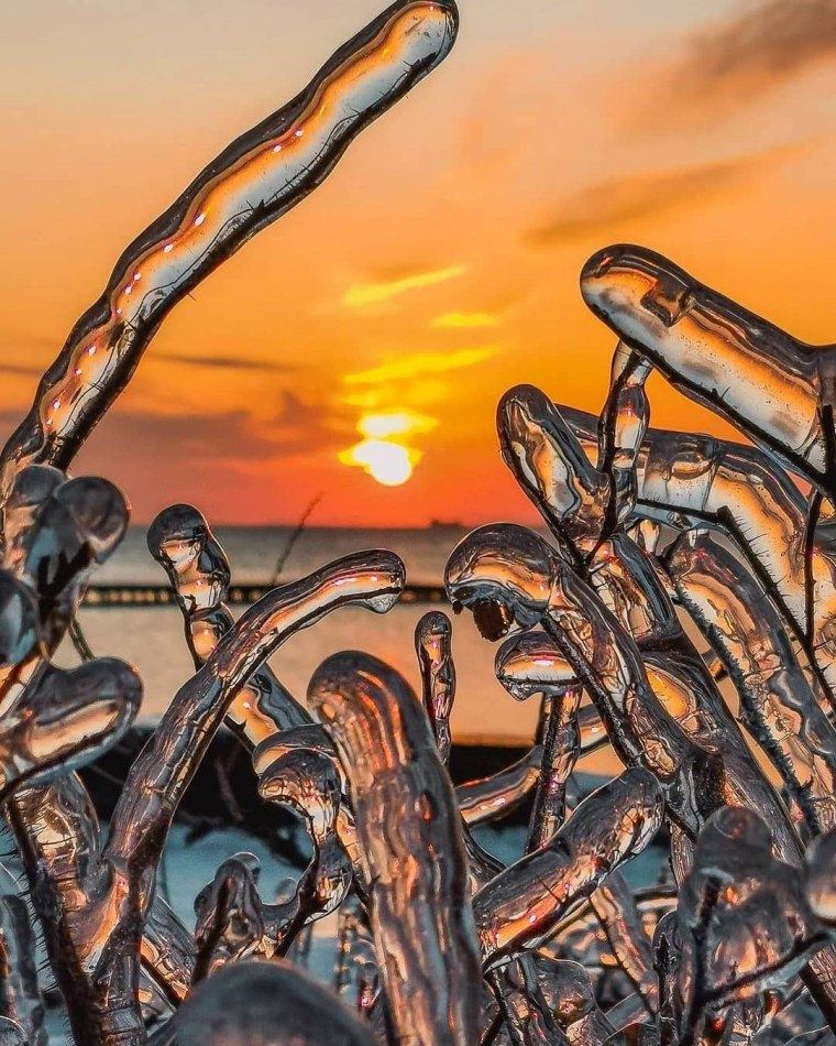 Тхт группа Эстетика