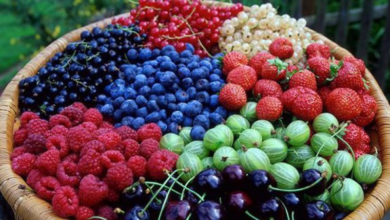 Плодово ягодные