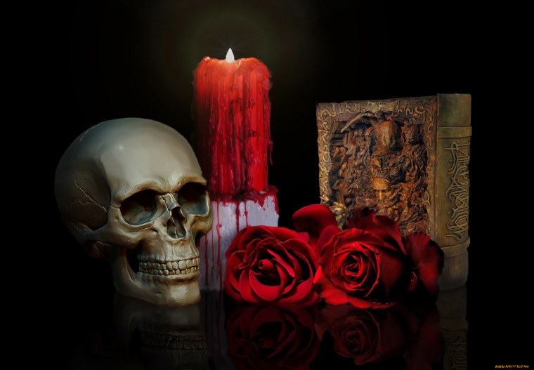 Кости черепа