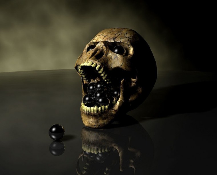 Ванитас Эстетика