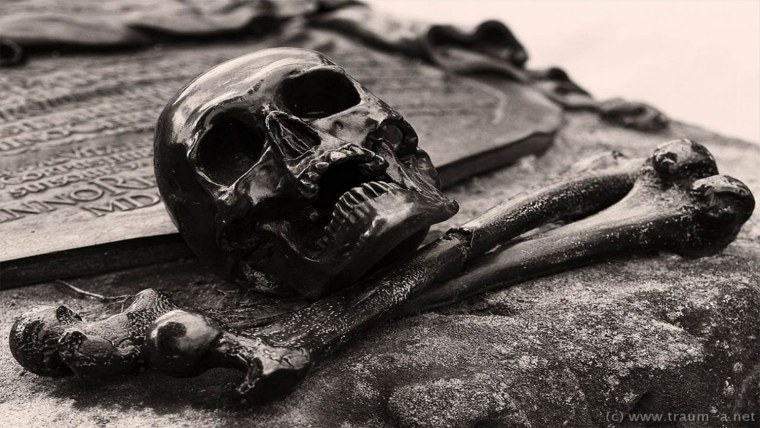 Человеческий череп Эстетика