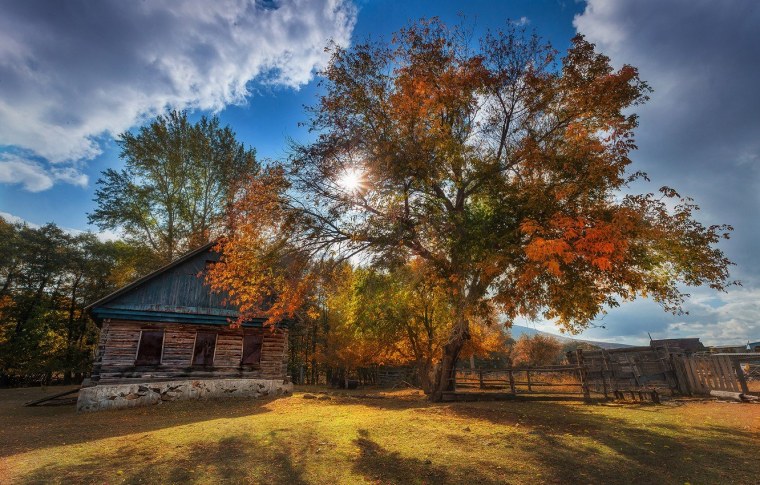 Картину Владимира Золотина ранняя осень