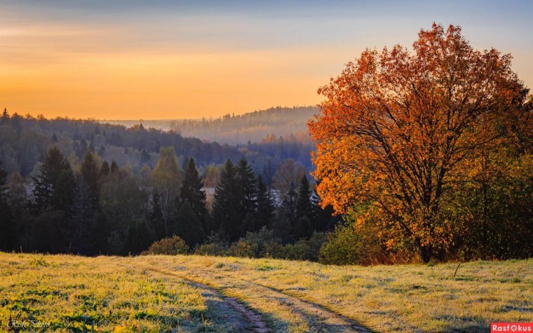 Осенний лес Белебеевский район