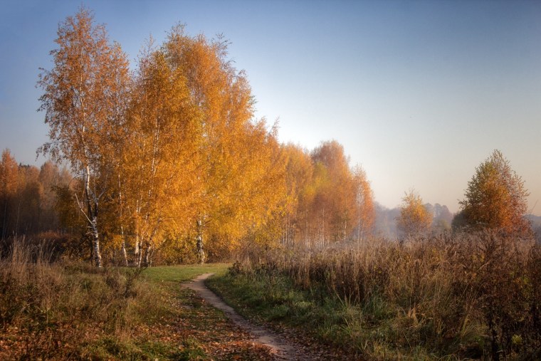 Художник Дмитрий Левин осенний мостик