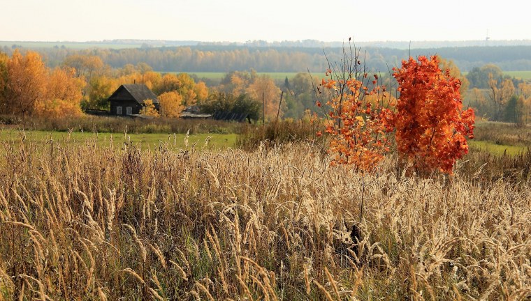 Живопись русская деревня Шаройкин Геннадий