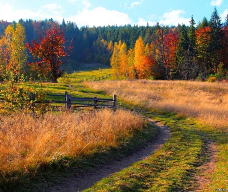 Владимир Юрьевич Жданов (деревня у реки)