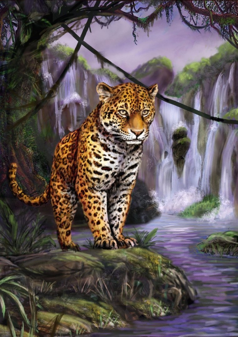 Леопард в джунглях