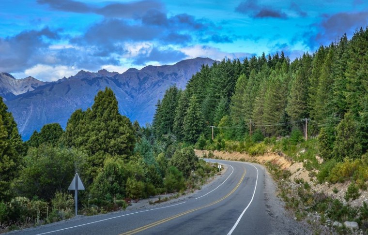 Грузия лес дорога