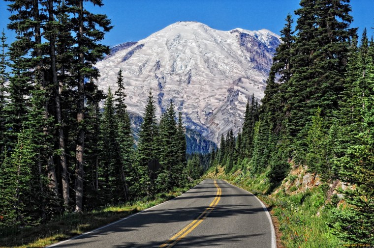 Лес и дорога Вашингтон